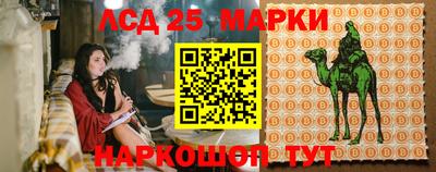 трава Партизанск