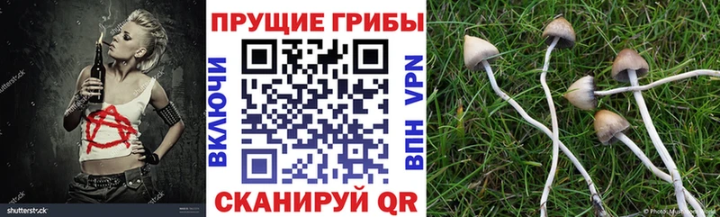 kraken Шумерля Галлюциногенные грибы мухоморы продажа наркотиков