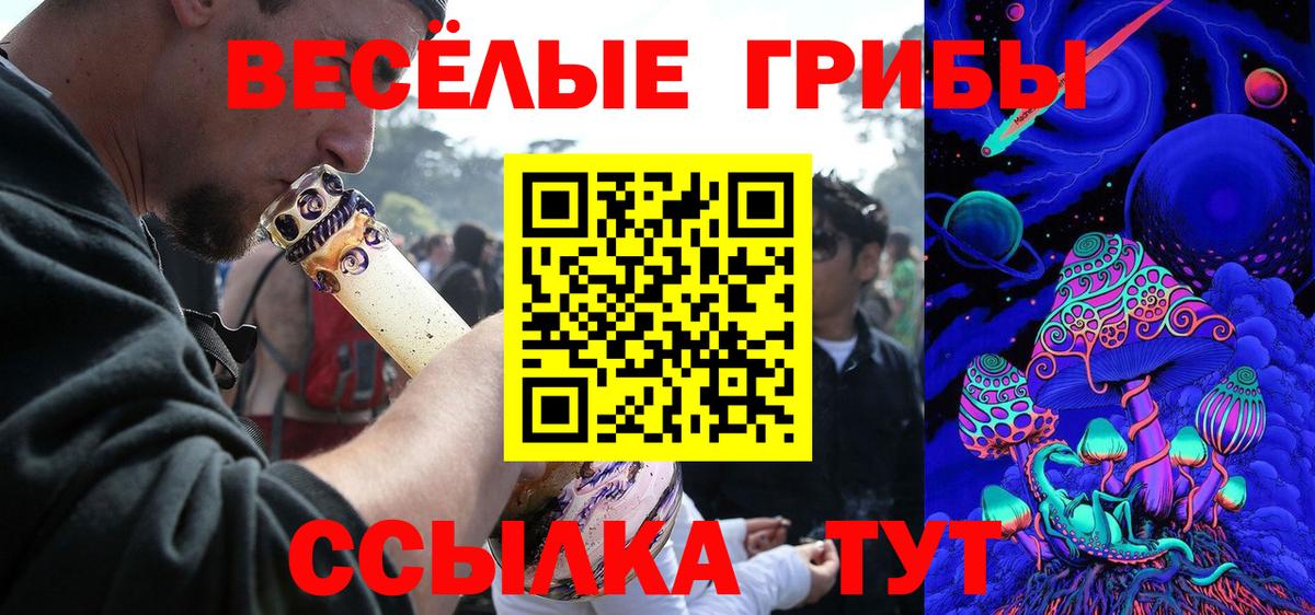 Шумерля  Псилоцибиновые грибы ЛСД  Вход с VPN 