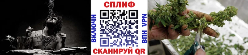 Конопля ГИДРОПОН  Шумерля 